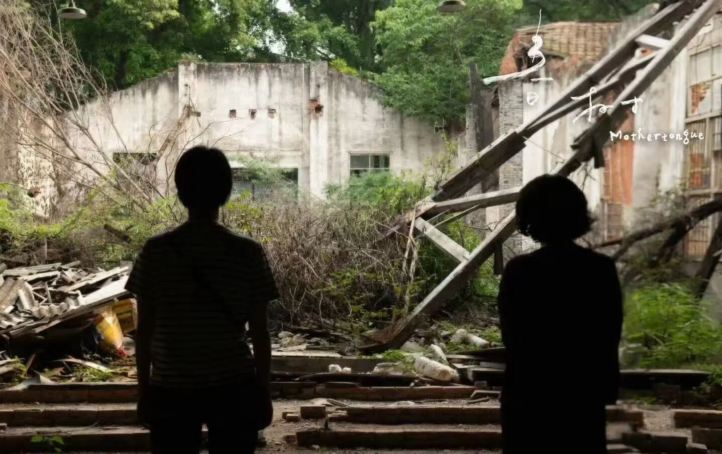 微信圖片_2025-11-27_150829_970.jpg 微信圖片_2025-11-27_150829_970.jpg