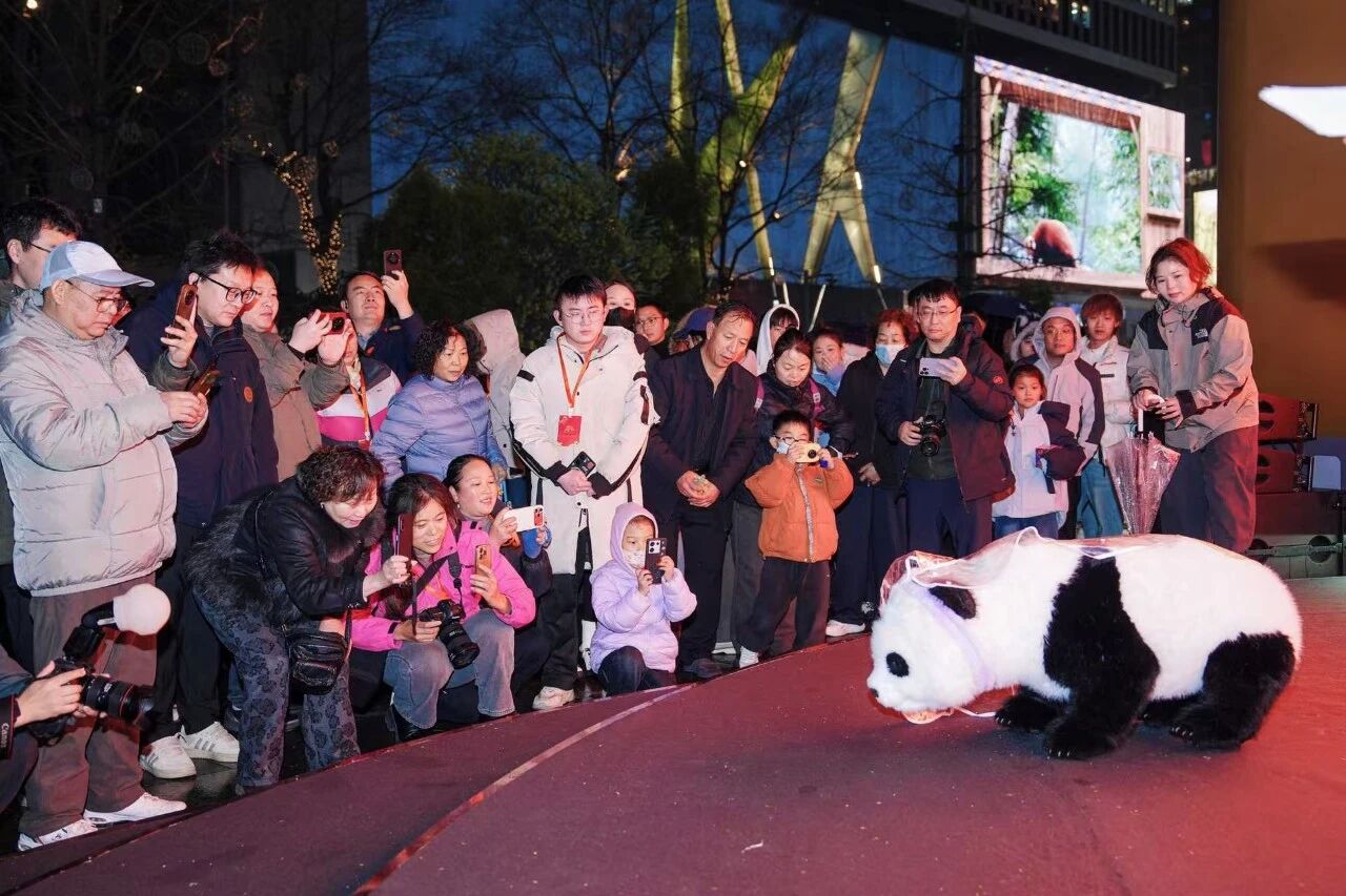 微信圖片_2026-02-11_103125_931.jpg 微信圖片_2026-02-11_103125_931.jpg